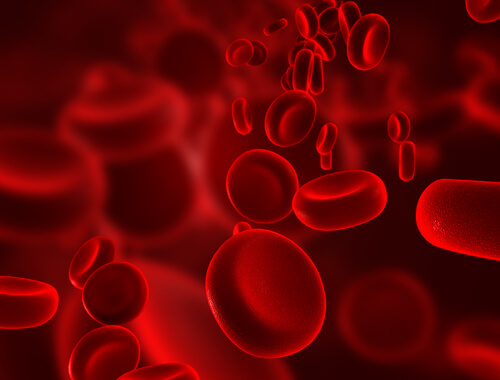 кръвни клетки
