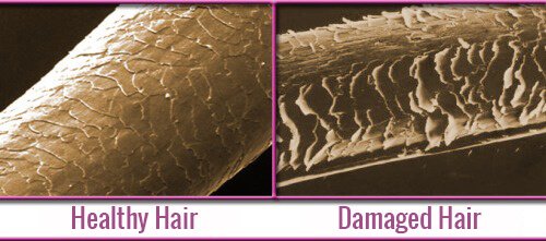за укрепване на косата преди всичко трябва да сте наясно каква е структурата на косъма