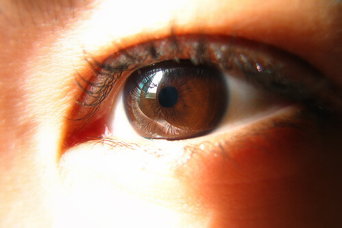 Хората с кафяв цвят на очите може да имат проблеми с щитовидната жлеза.