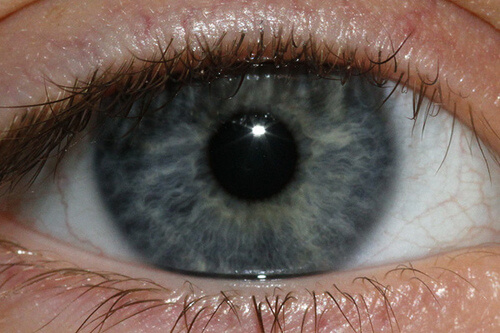 Хората със син или сив цвят на очите са предразположени към проблеми с гърлото.