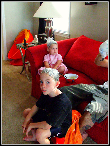 Борба с въшките