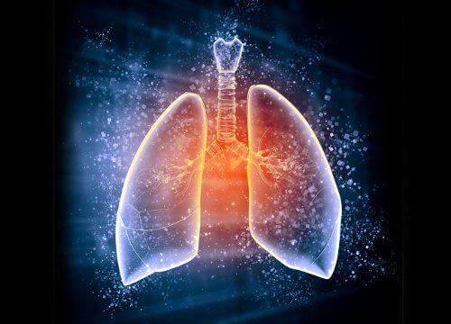Диетата за детоксикация на белите дробове  ще продължи 3 дни