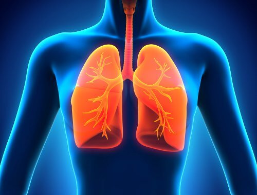По време на процеса на детоксикация белите дробове трябва да почивате