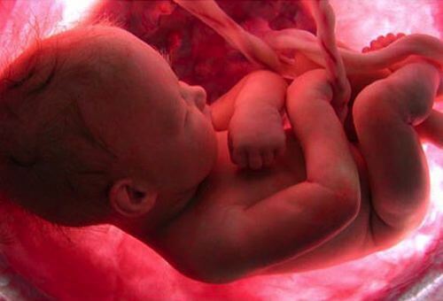 Защо не помним раждането си?