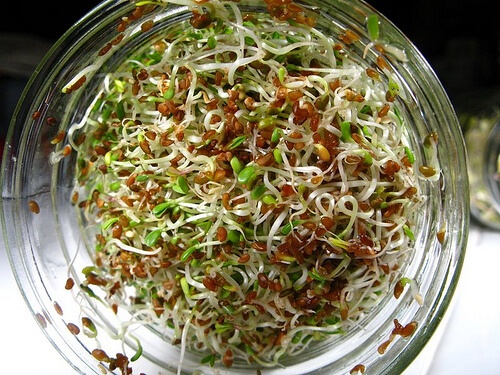 кълнове