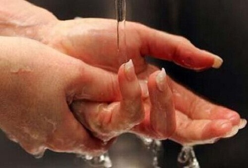 9 здравословни навика, водещи до по-дълъг живот
