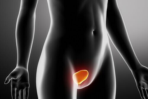 Лечение и предпазване от инфекции на пикочните пътища