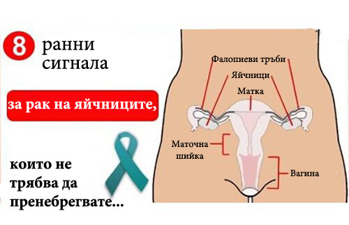 8 ранни признаци на рака на яйчниците, които трябва да познавате