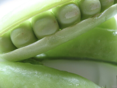 бобовите растения са чудесно допълнение към здравословното ви меню