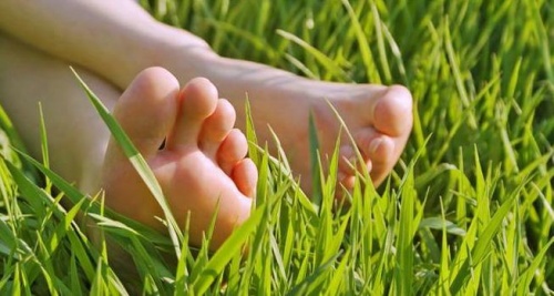 Крака в тревата