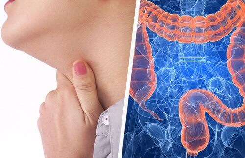 Връзката между проблемите с гърлото и червата
