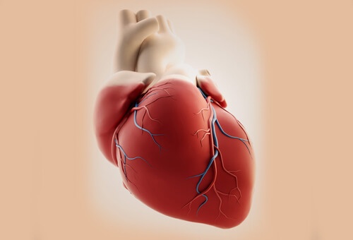 Симптоми на сърдечния удар