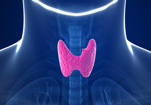 Щитовидна жлеза