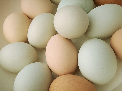 яйцата неизменна съставка на всяка здравословна вечеря