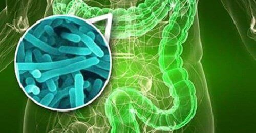 10 признака за тънкочревен бактериален свръхрастеж