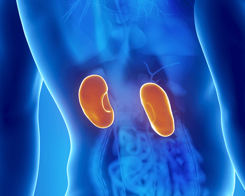 бъбречните инфекции