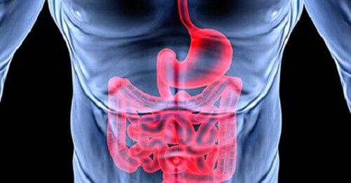 Лошо храносмилане и емоционални проблеми