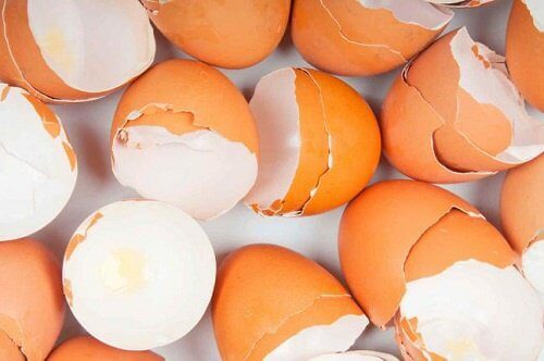 15+ изненадващи приложения на яйчените черупки