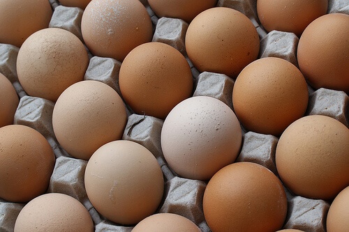 Яйцата са полезни за старите хора и бременните жени