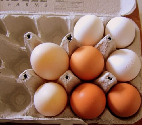 митове и истини за яйцата - консумация на суроми яйца