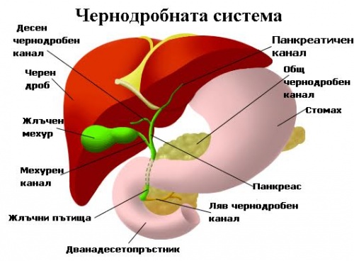 панкреатитът предизвиква болка в лявата част на корема