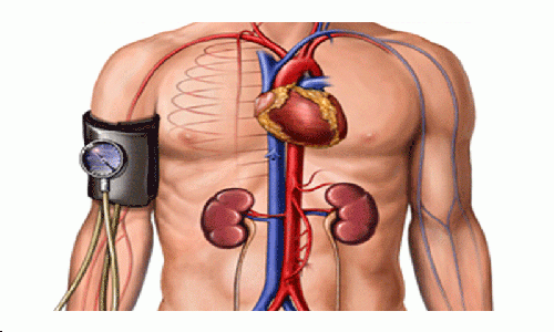 Когато не пием достатъчно вода има колебания в кръвното налягане