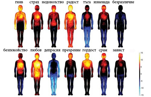 Как негативните мисли и емоции вредят на тялото