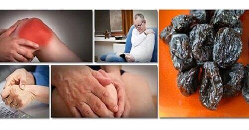 Сушени сливи срещу загуба на костна маса