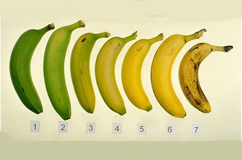 Кой е по-полезният банан: узрeлият или зеленият?