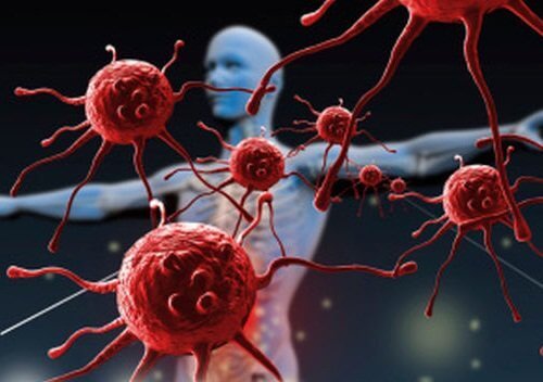 Антиоксидантите в състава на зехтина укрепват имунна система