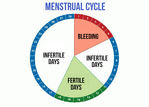Кои са вашите фертилни дни?