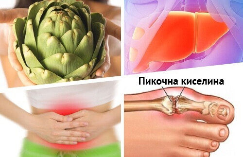 8 медицински приложения на артишок