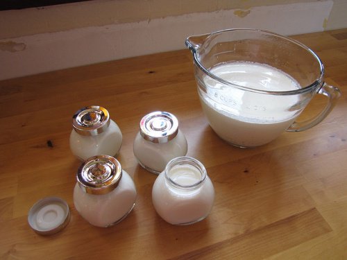 domashno kiselo mlyako
