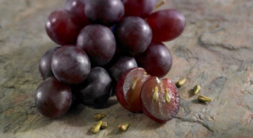 Малко известните ползи от гроздовите семена