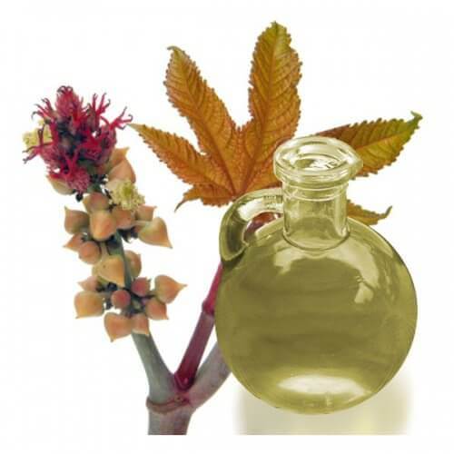 Едно от най-ценните натурални масла не само за косата е рициновото.