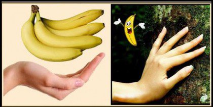 Храни, наподобяващи човешки органи: банани