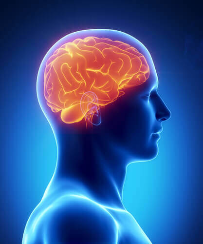 Липсата на сън и ниското ниво на кислорода в кръвта се свързват с аномалии в мозъка.