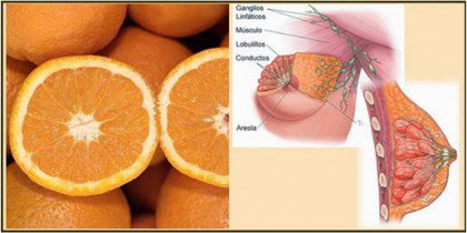Храни, наподобяващи човешки органи: портокали