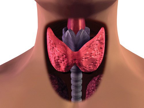 Симптоми на рака на щитовидната жлеза при жените