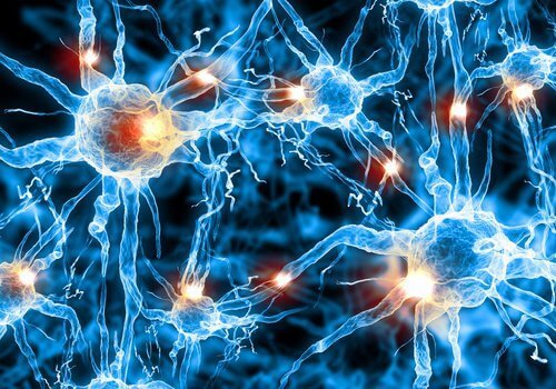 7 интересни неща, които се случват в тялото по време на дълбок сън