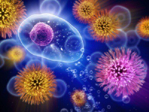Кои фактори отслабват имунната система?