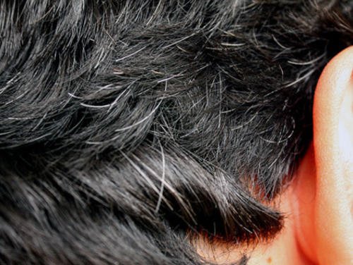 6 домашни средства против ранното побеляване на косата