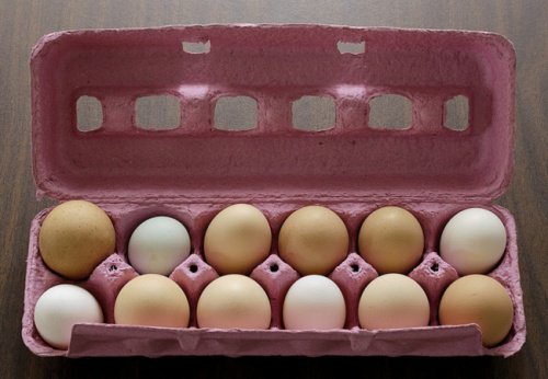 Не хвърляйте храна: запазете по-дълго яйцата пресни