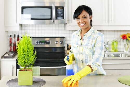 чиста кухня за дом без алергии