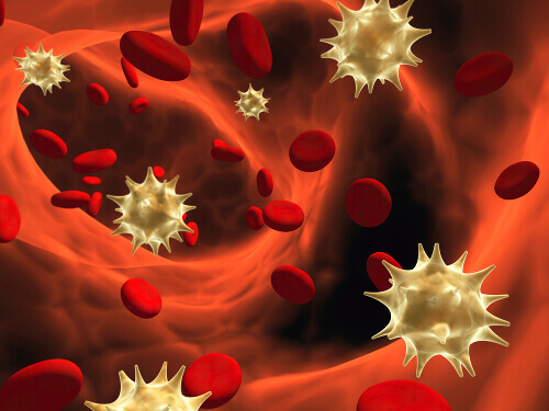Прегръщането укрепва имунната система