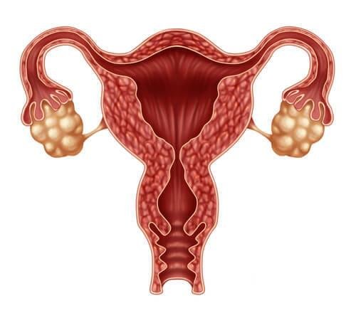Появата на вагинално кървене между циклите може да е признак за проблеми на репродуктивната система.