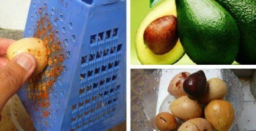 10 ползи на семката на авокадото за здраве и красота