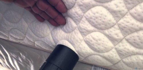 домашни акари