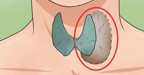 7 подсказки на тялото, че има проблем в  щитовидната жлеза