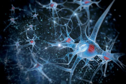 как безжичната технология влияе на мозъка